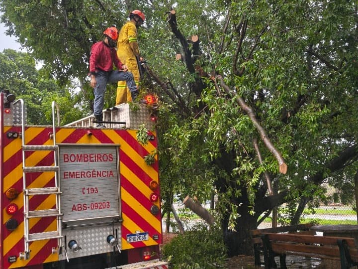 Bombeiros retiram galhos e desobstruem passagem de veículos no Aeroporto