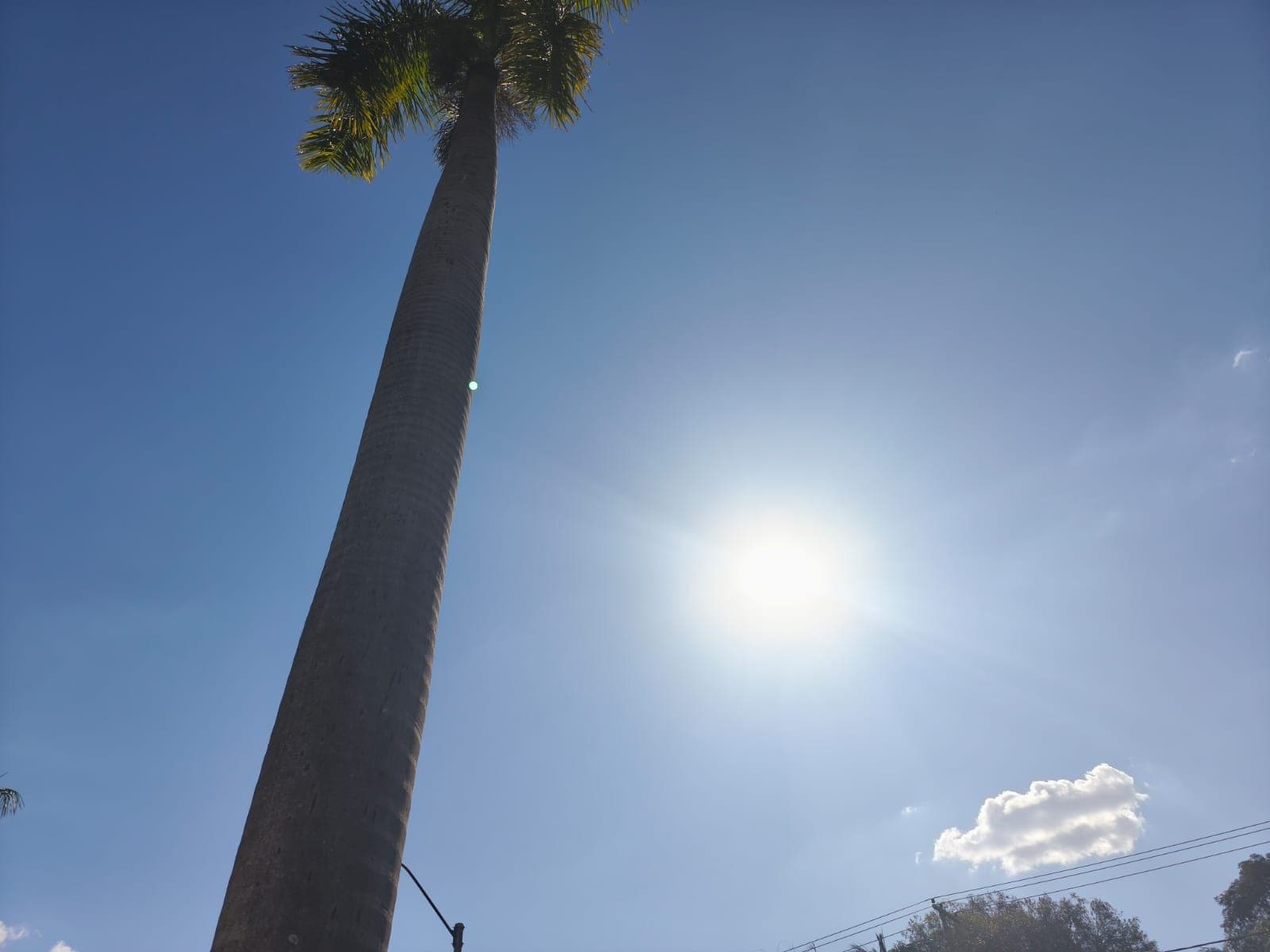 Calor intenso e baixa umidade colocam municípios em alerta