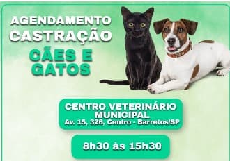 Castração gratuita tem novo agendamento para cães e gatos