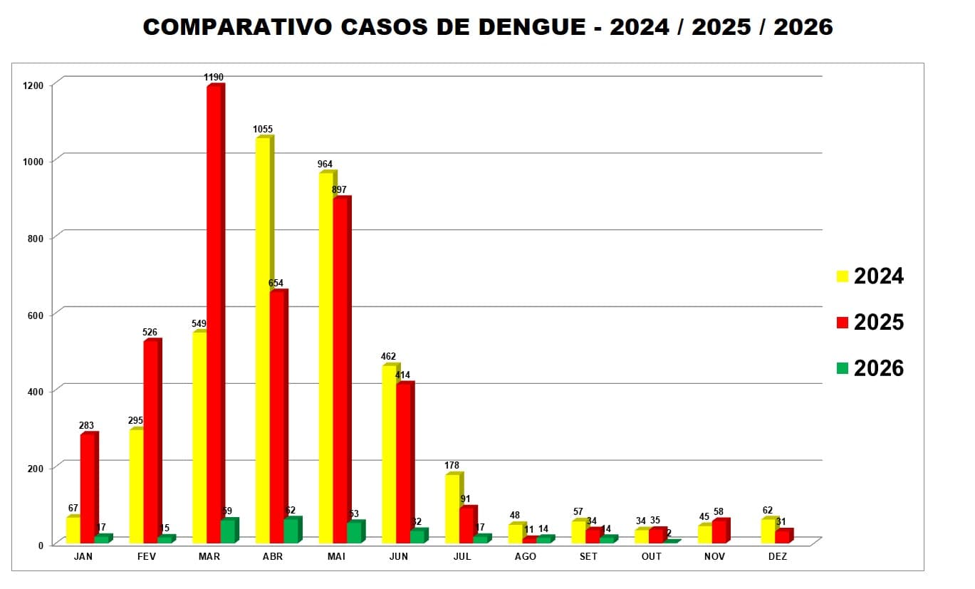 Dengue leva criança de 5 anos à internação