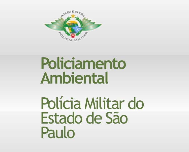 Polícia Ambiental usa drones e satélites para combater queimadas